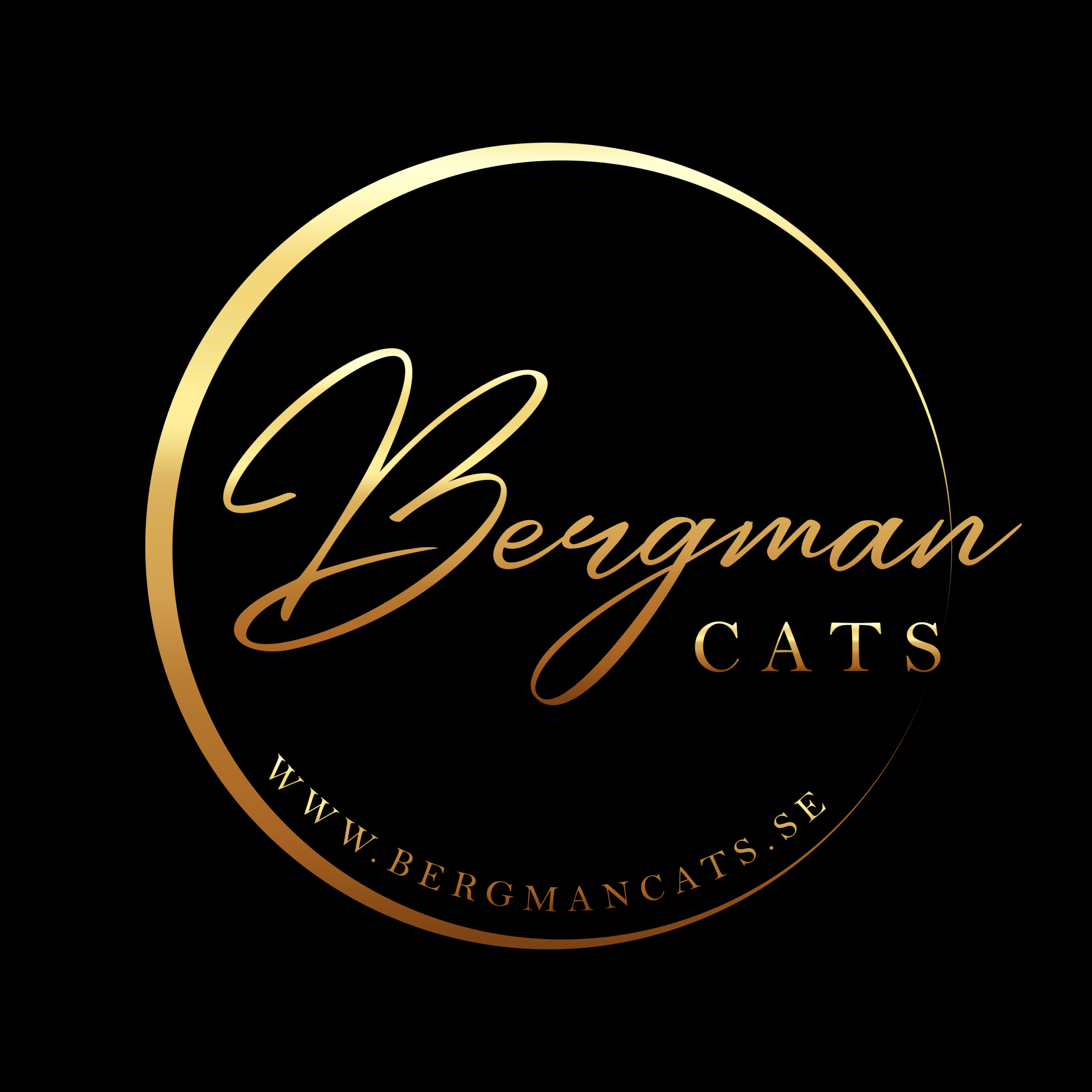 BergmanCats